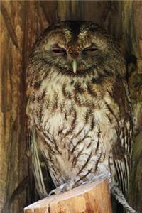 Find the Owl Journal