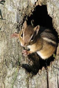 Chipmunk Checking You Out Journal