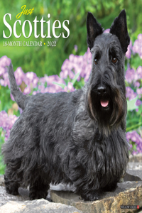 Just Scotties 2022 Wall Calendar (Dog Breed)