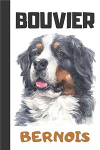 Bouvier Bernois