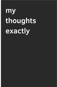 My Thoughts Exactly