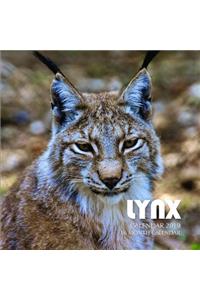 Lynx Calendar 2019
