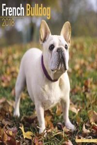 French Bulldog Calendar 2018