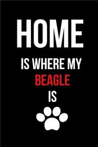 Home Is Where My Beagle Is