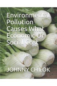 Environmental Pollution Causes What Economic or Social Cost