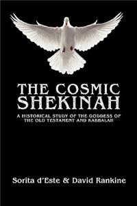 Cosmic Shekinah