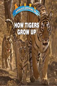 How Tigers Grow Up