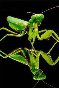Praying Mantis and Reflection Journal