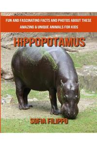 Hippopotamus