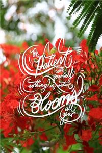 Be patient with yourself, nothing in nature blooms all year