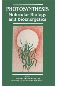 Photosynthesis : Molecular Biology and Bioener