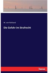 Gefahr im Strafrecht