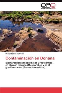 Contaminación en Doñana