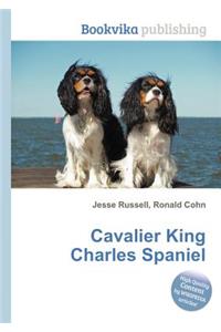 Cavalier King Charles Spaniel