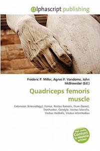Quadriceps Femoris Muscle