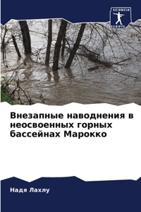 Внезапные наводнения в неосвоенных горны