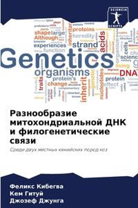 Разнообразие митохондриальной ДНК и фило