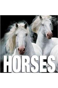 Horses