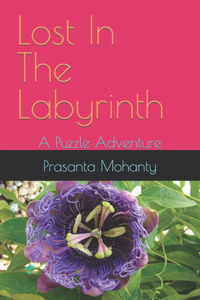 Lost In The Labyrinth