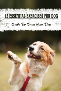 15 Essential Exercises For Dog