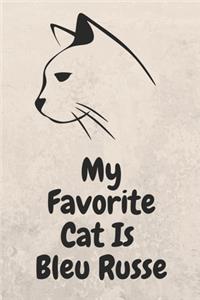 My Favorite Cat Bleu Russe