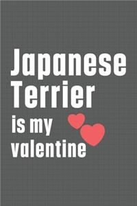 Japanese Terrier is my valentine