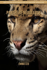 Panthere nebuleuse