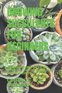 Growing Succulents for Beginners