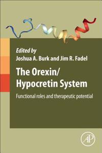 Orexin/Hypocretin System