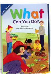 Reading 2011 Leveled Reader Grade 2.5.2 Below What Can You Do?