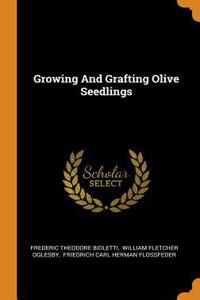 Growing and Grafting Olive Seedlings