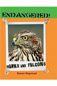 Hawks and Falcons