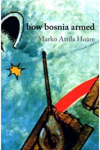 How Bosnia Armed