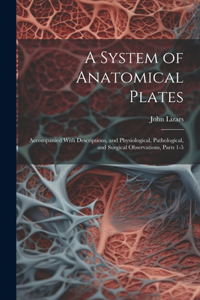 System of Anatomical Plates