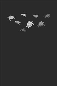 The Turtle