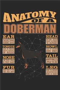 Anatomy Of A Doberman