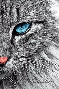 Chat Carnet de notes