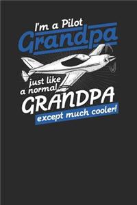 I'm A Pilot Grandpa