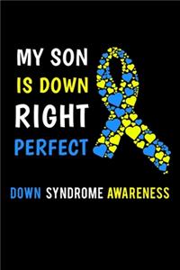 My Son Is Down Right Perfect Down Syndrome Awareness