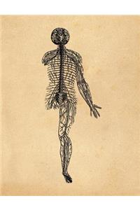 Anatomy Notebook