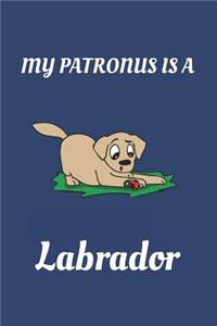 My Patronus Is a Labrador
