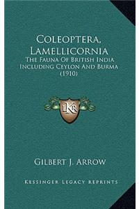 Coleoptera, Lamellicornia