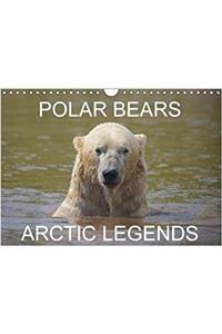 Polar Bears - Arctic Legends 2018