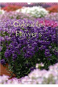 Colourful Flowers 2018