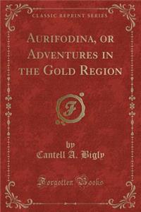 Aurifodina, or Adventures in the Gold Region (Classic Reprint)