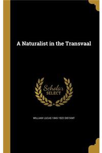 Naturalist in the Transvaal