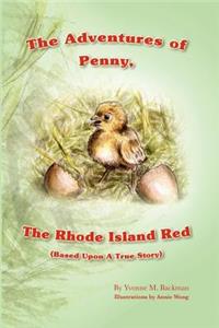 Adventures of Penny, The Rhode Island Red