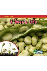 A Bean's Life