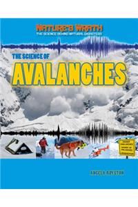 Science of Avalanches