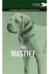The Mastiff - A Complete Anthology of the Breed